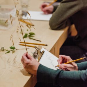 Botanisch tekenen bij PUNCH in de Pont