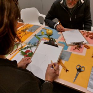 Botanisch tekenen bij PUNCH in de Pont