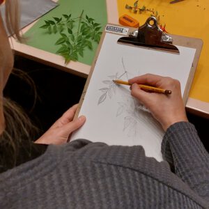 Botanisch tekenen bij PUNCH in de Pont