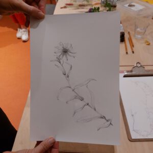 Botanisch tekenen bij PUNCH in de Pont