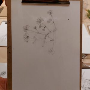 Botanisch tekenen bij PUNCH in de Pont