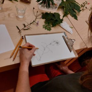 Botanisch tekenen bij PUNCH in de Pont