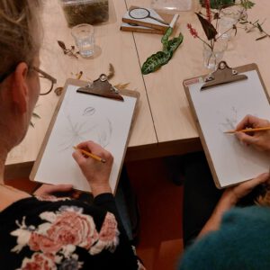 Botanisch tekenen bij PUNCH in de Pont