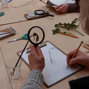 Botanisch tekenen bij PUNCH in de Pont