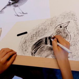 Vogel tekenen met houtskool.